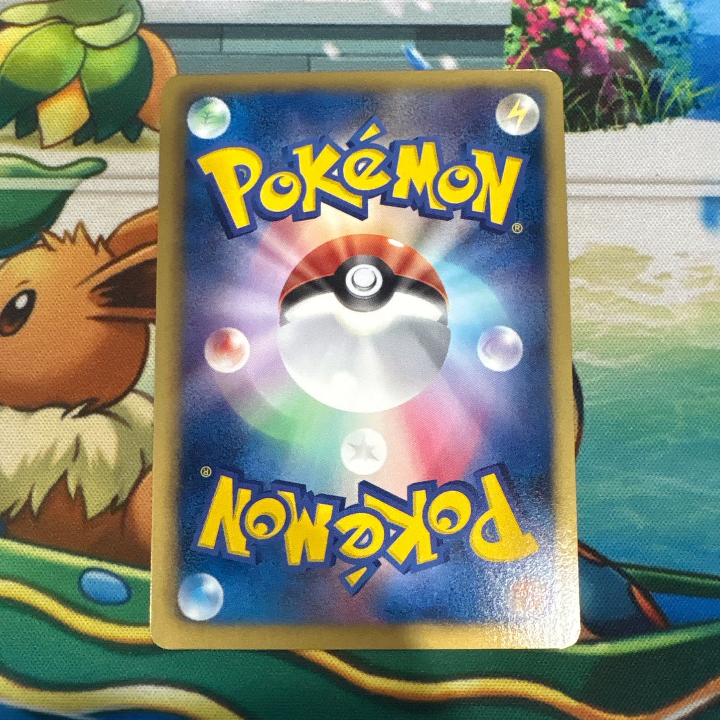 Snivy - BW Quiz Rally Promo 034/BW-P (JPN)