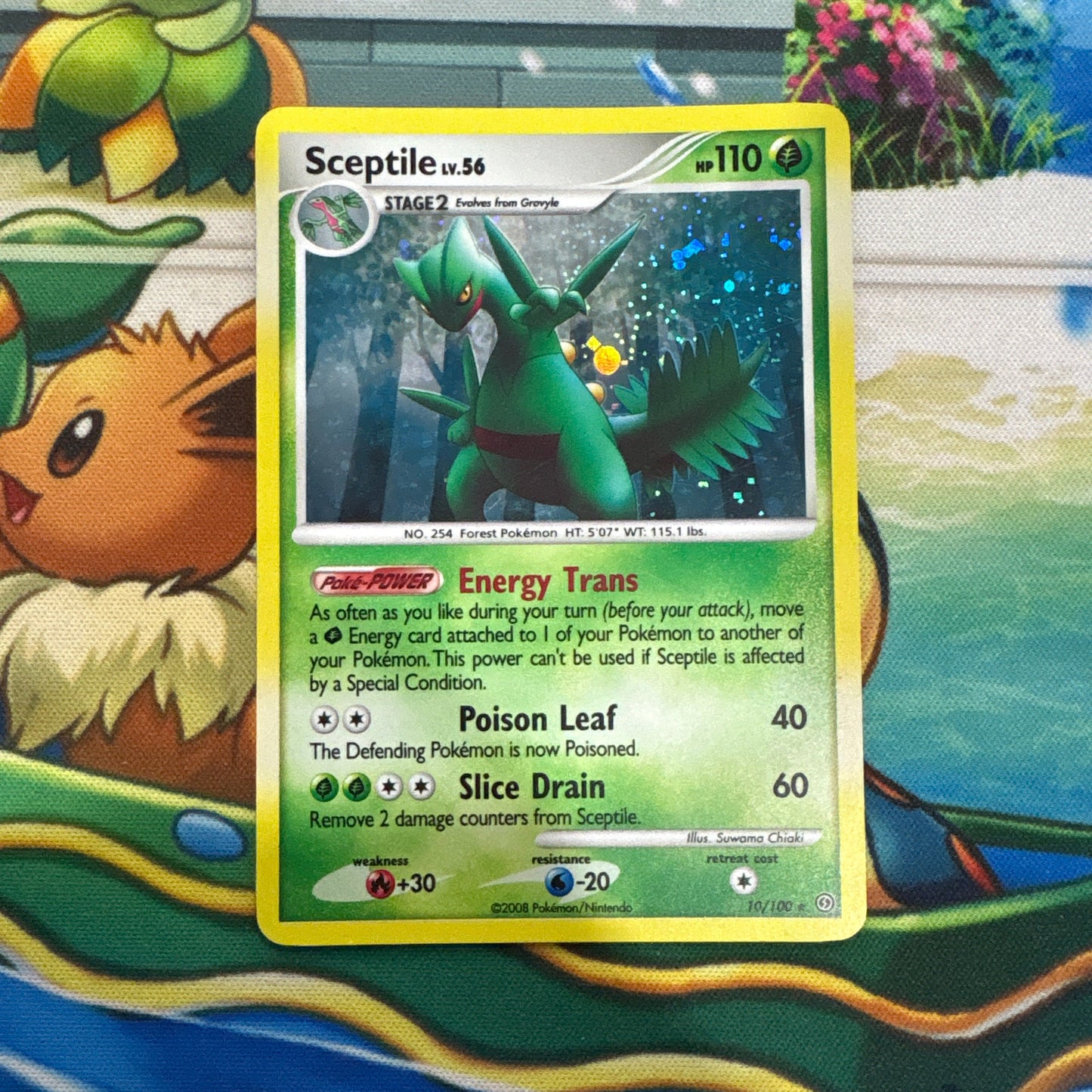 Sceptile - Stormfront 10/100