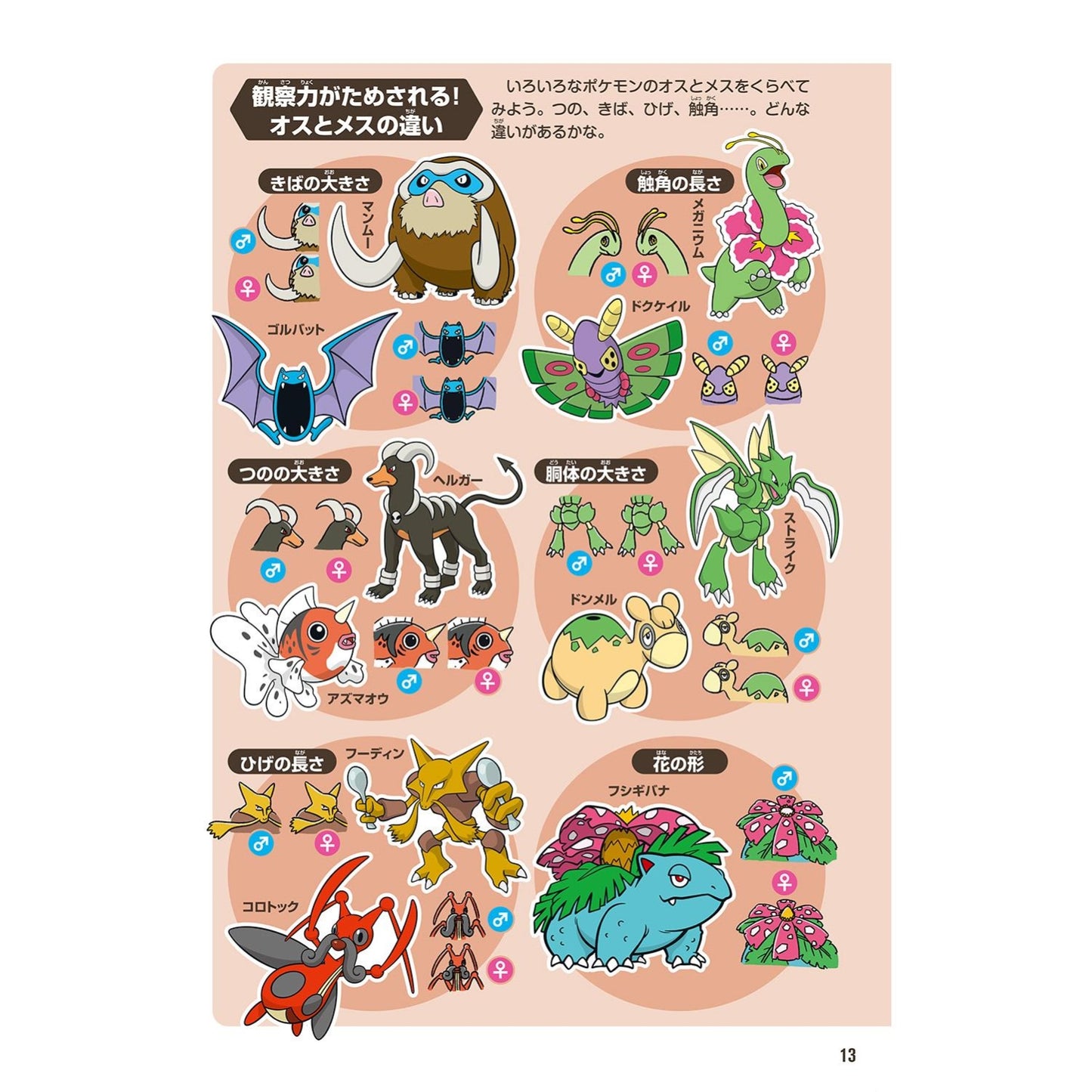 Pokemon  Pokecology Ecology Encylopedia