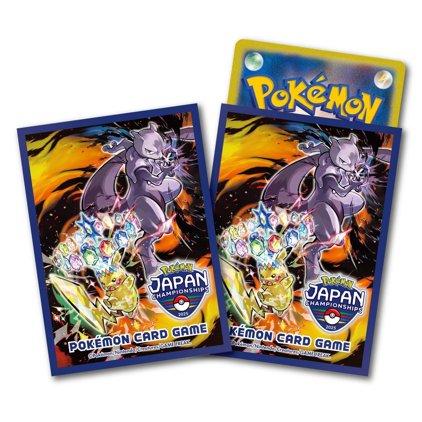 Japan Championships 2025 Sleeves