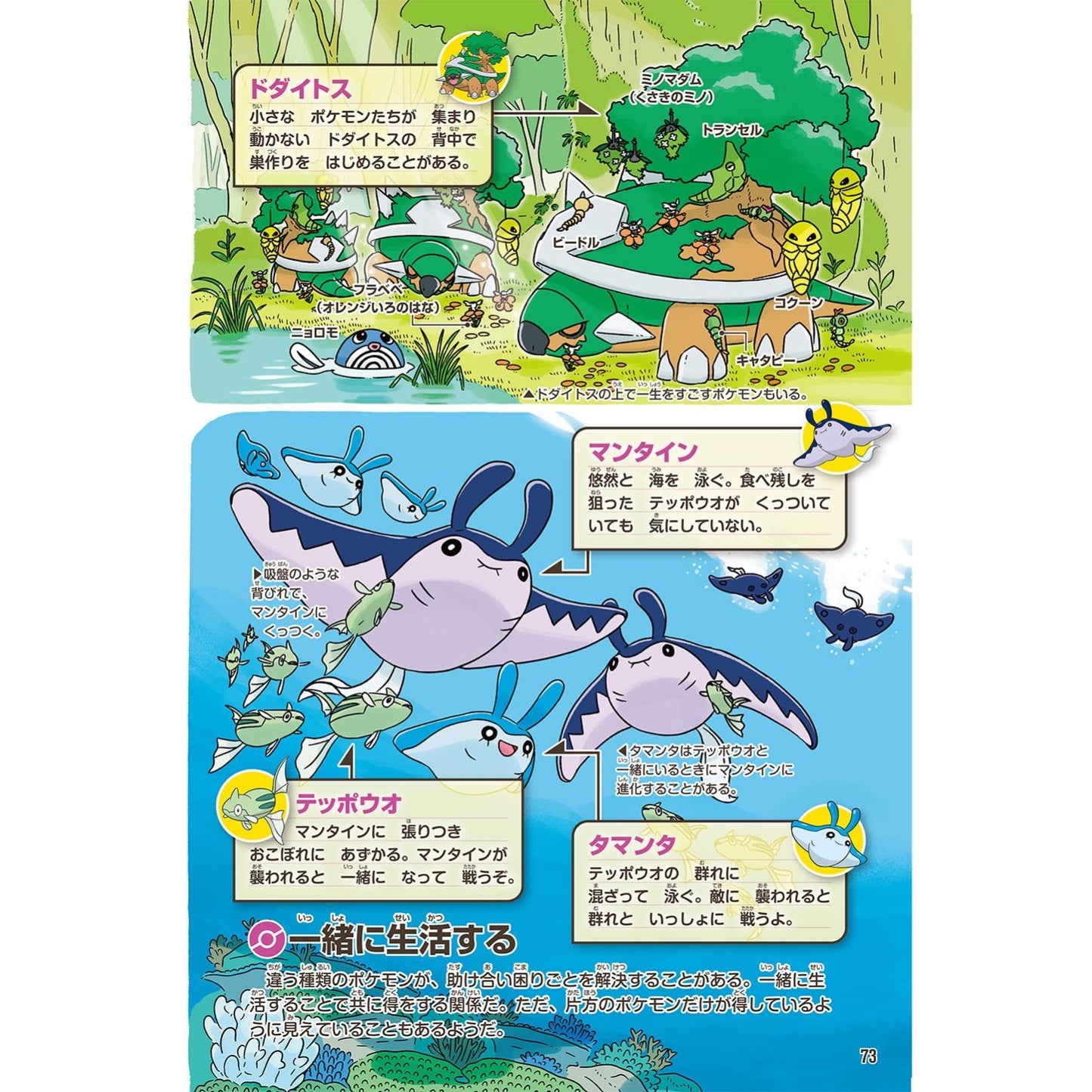Pokemon  Pokecology Ecology Encylopedia