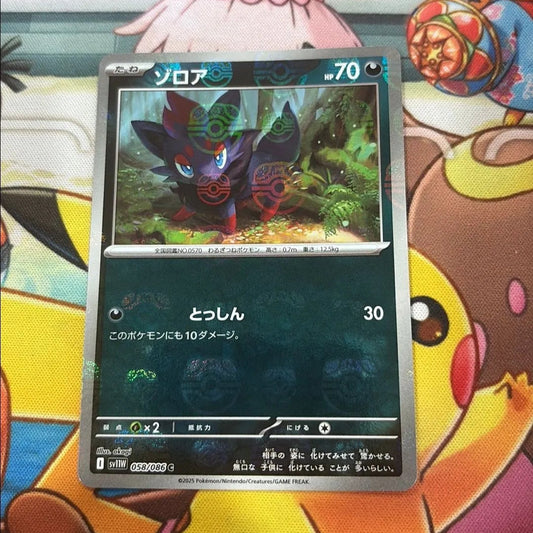 Zorua Masterball - White Flare 058/086 (JPN)